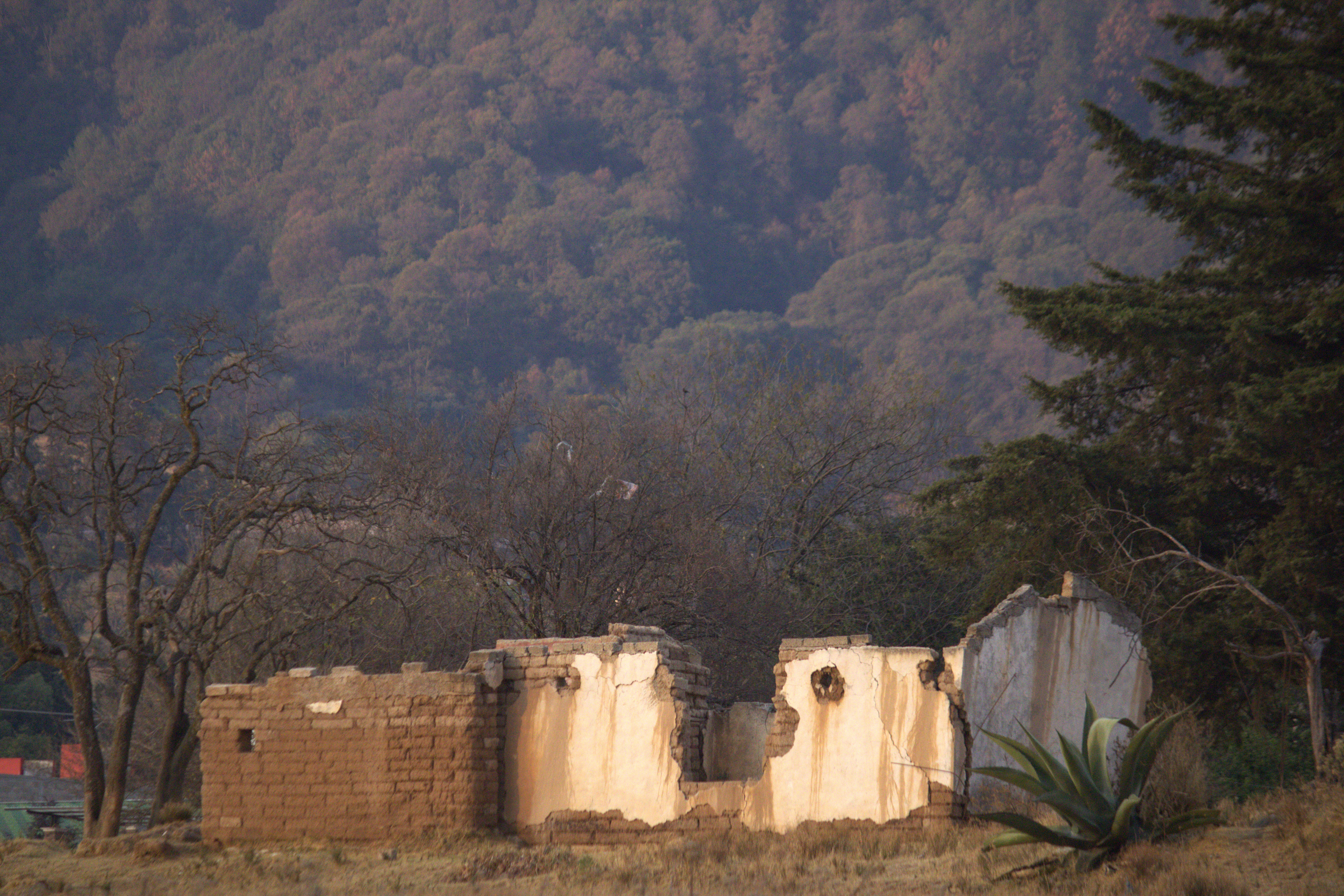 Casas de adobe en México: arquitectura ancestral, resiliente y sostenible. Una forma digna de habitar, construida con tierra y saberes tradicionales.