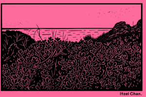 Semarnat autoriza proyecto inmobiliario en playa de Yucatán pese a 94 impactos ambientales que ponen en riesgo dunas y acuíferos.